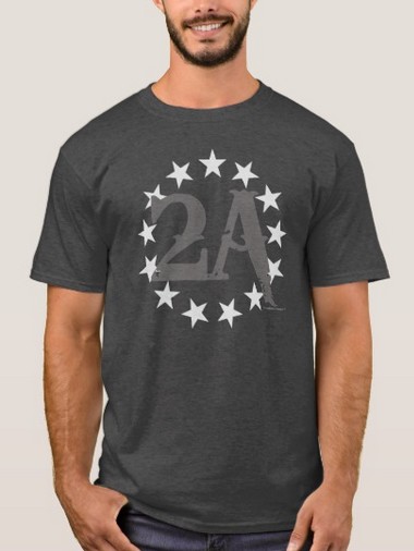 2A 2nd Amendment
                          13 Stars American Flag (Gray) T-Shirt